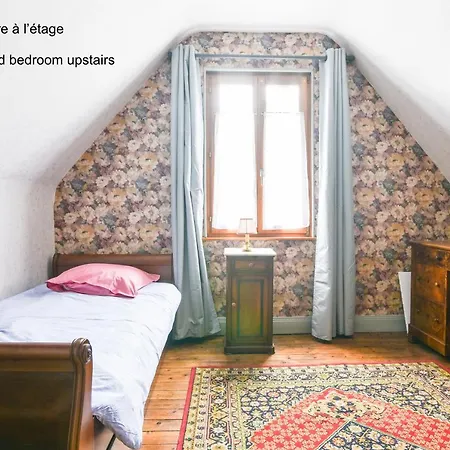 La Maison De De Et Son Jardin 度假居 科尔马