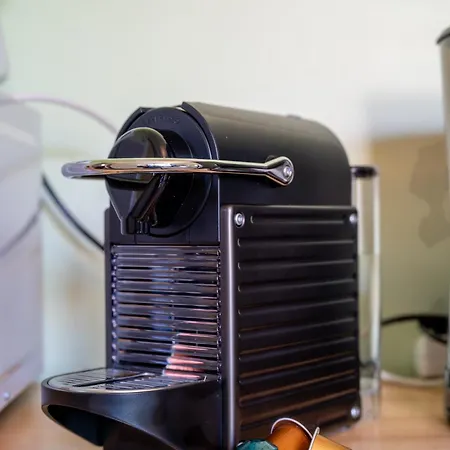 La Maison De De Et Son Jardin