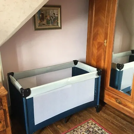 La Maison De De Et Son Jardin 科尔马