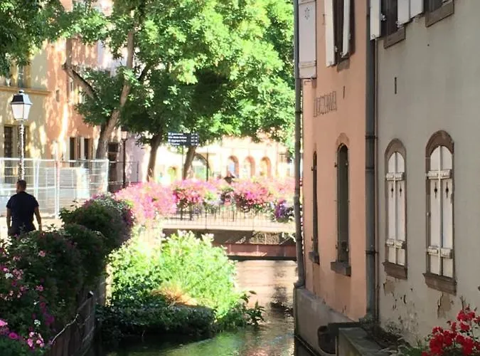 La Maison De De Et Son Jardin Tatil Evi *