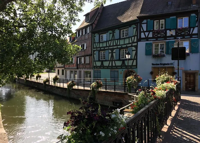 Tatil Evi La Maison De De Et Son Jardin Colmar