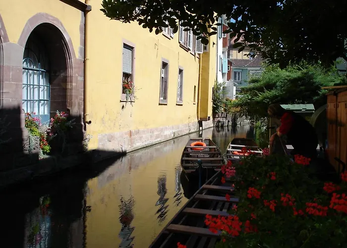 La Maison De De Et Son Jardin