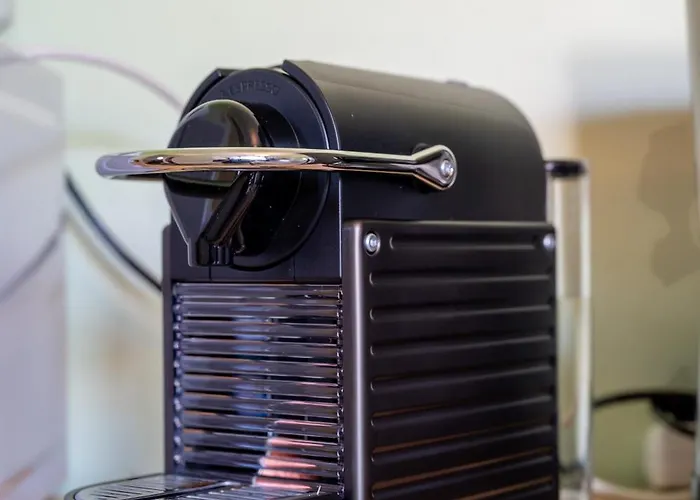 La Maison De De Et Son Jardin